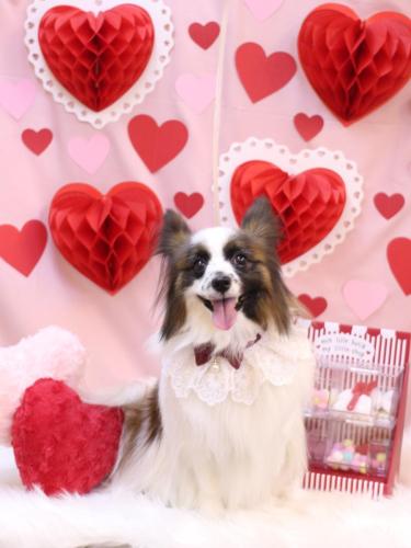 20240204マリーちゃん